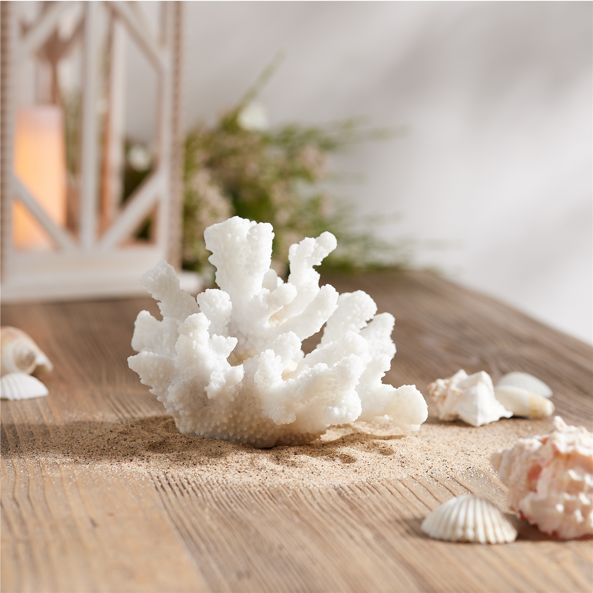 Set of 4 White Resin Coral Decorative Sculptures -Ship Only