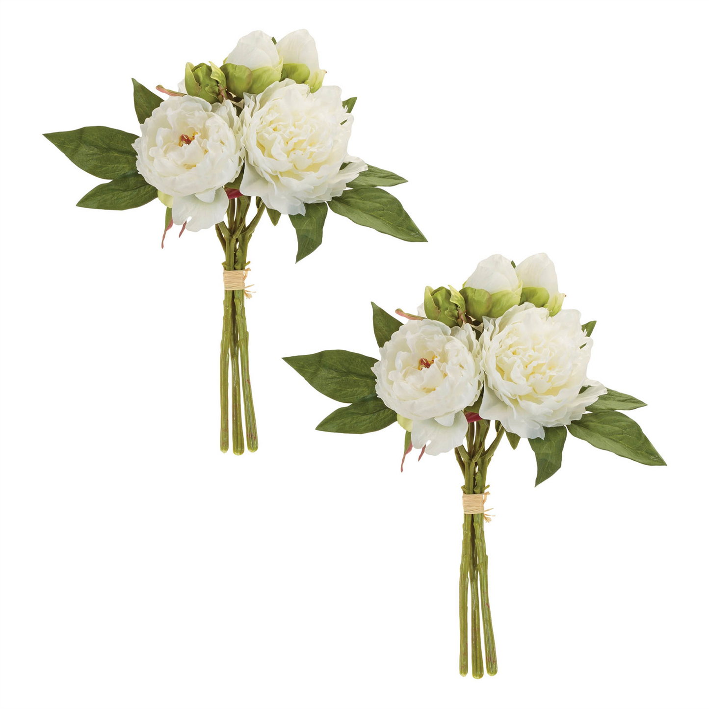 Peony Floral Bundle (Set of 2)