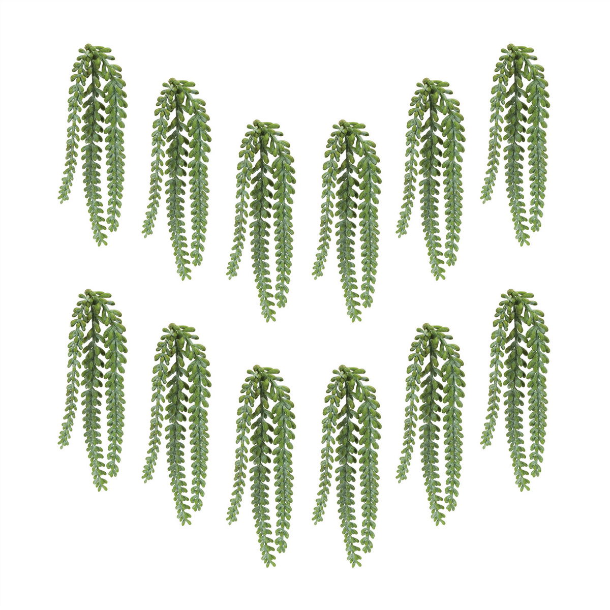 Hanging Sedum Succulent Spray (Set of 12)