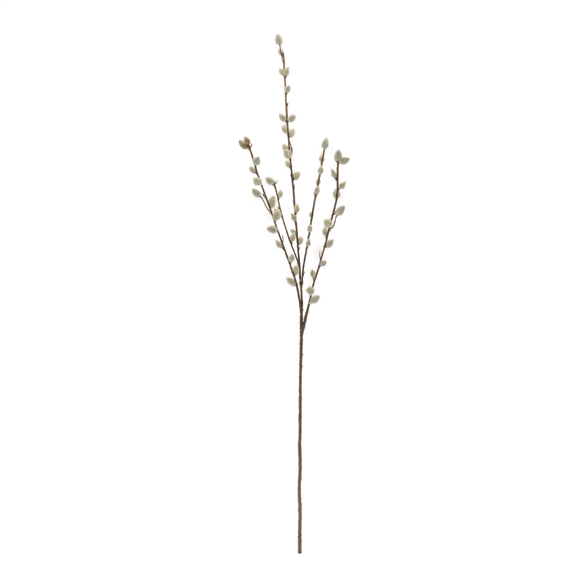 Pussy Willow Twig Spray (Set of 6) -Ship Only