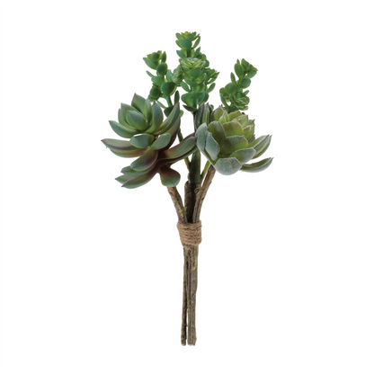 Succulent Bundle (Set of 6) 8.5"H, 8.75"H, 9.5"H Plastic