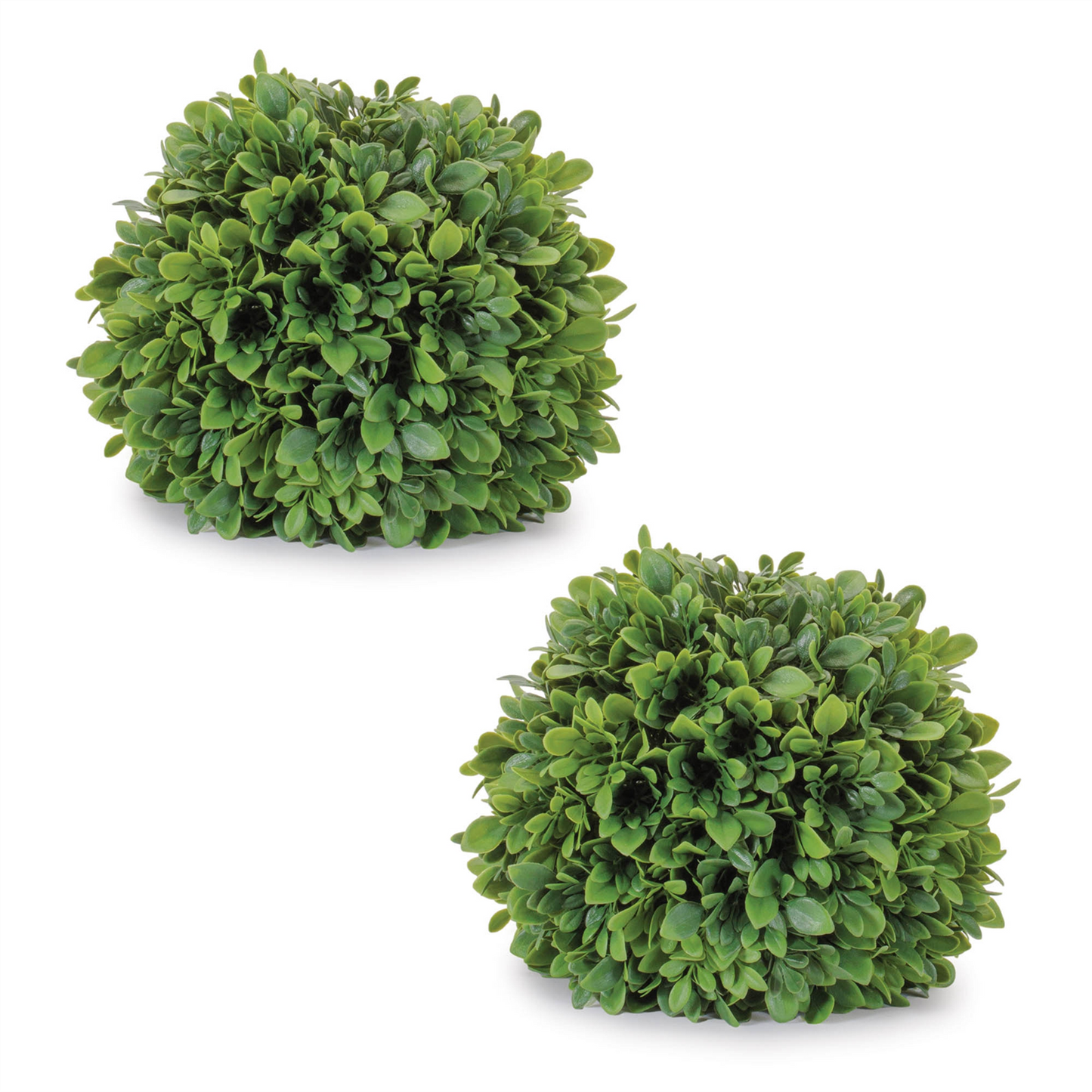Boxwood Foliage Orb (Set of 2)