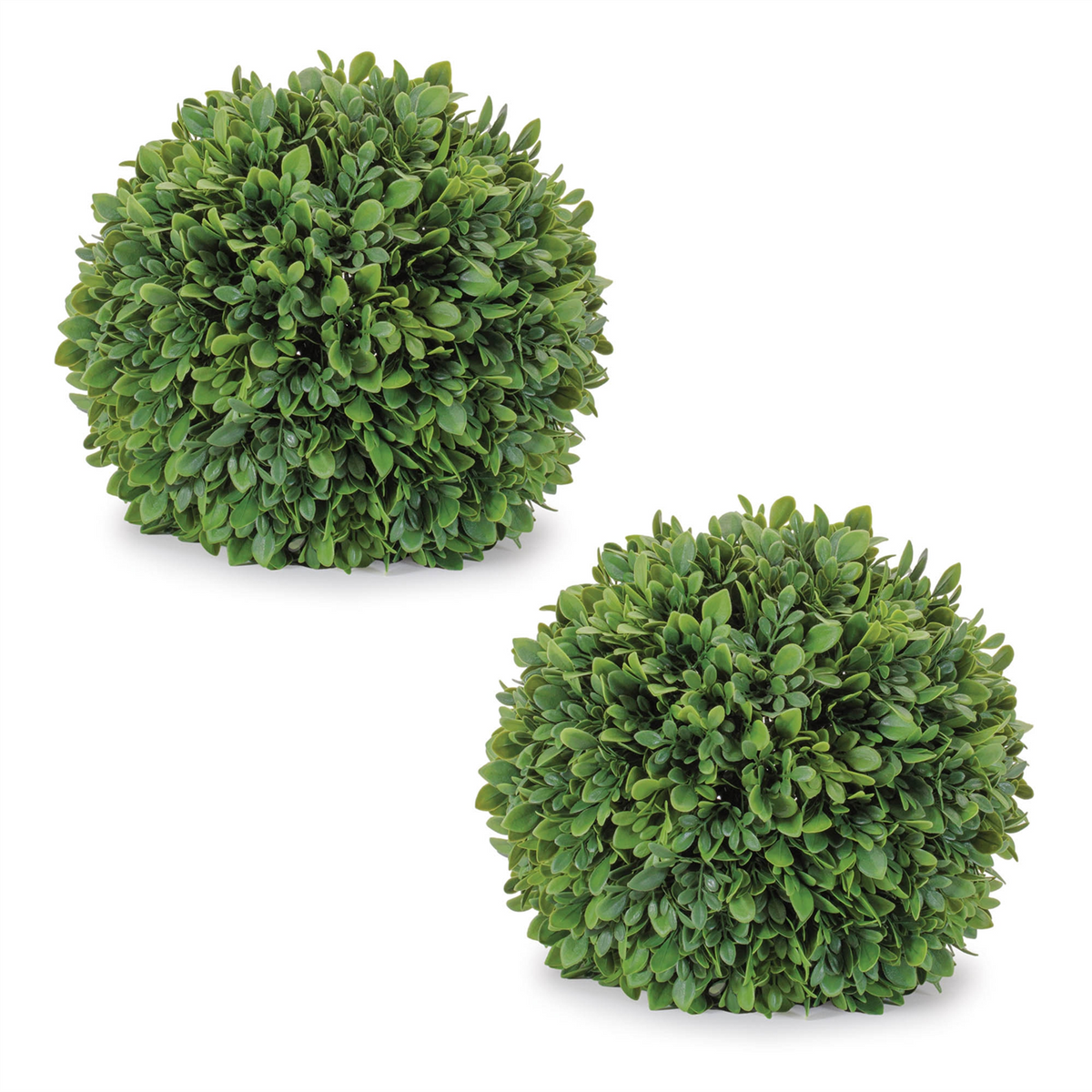 Boxwood Foliage Orb (Set of 2)