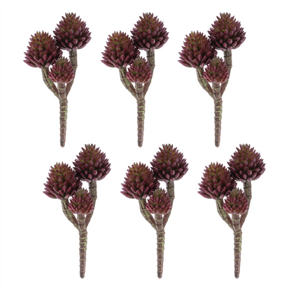 Succulent Plant Pick (Set of 6)