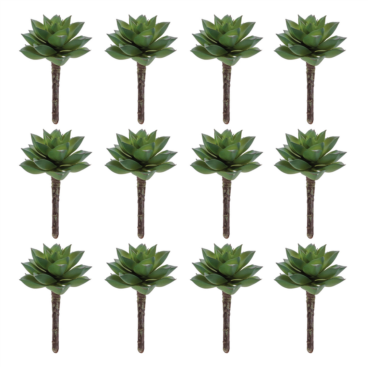 Succulent Plant Pick (Set of 12)