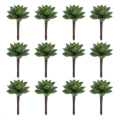 Succulent Plant Pick (Set of 12)