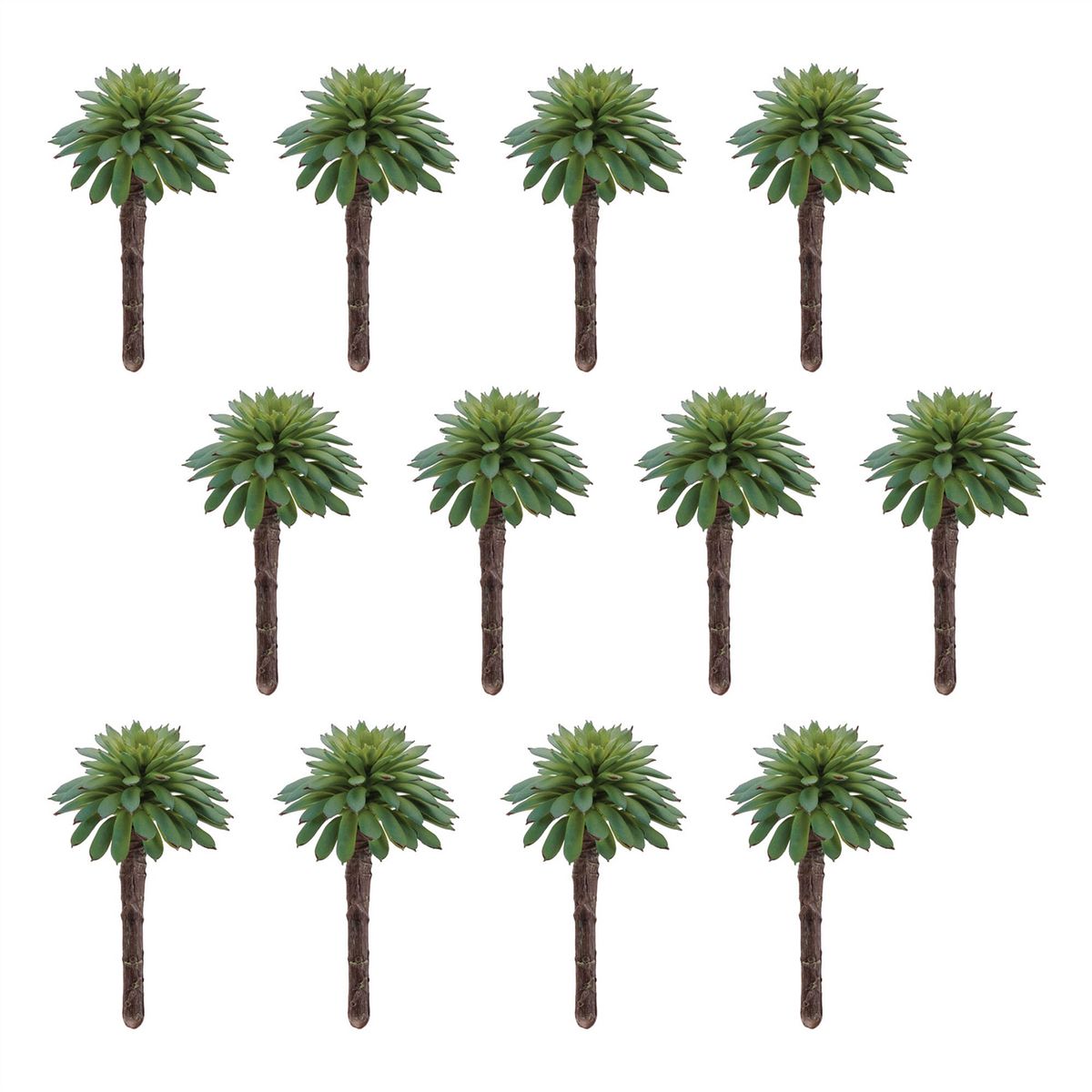 Succulent Plant Pick (Set of 12)