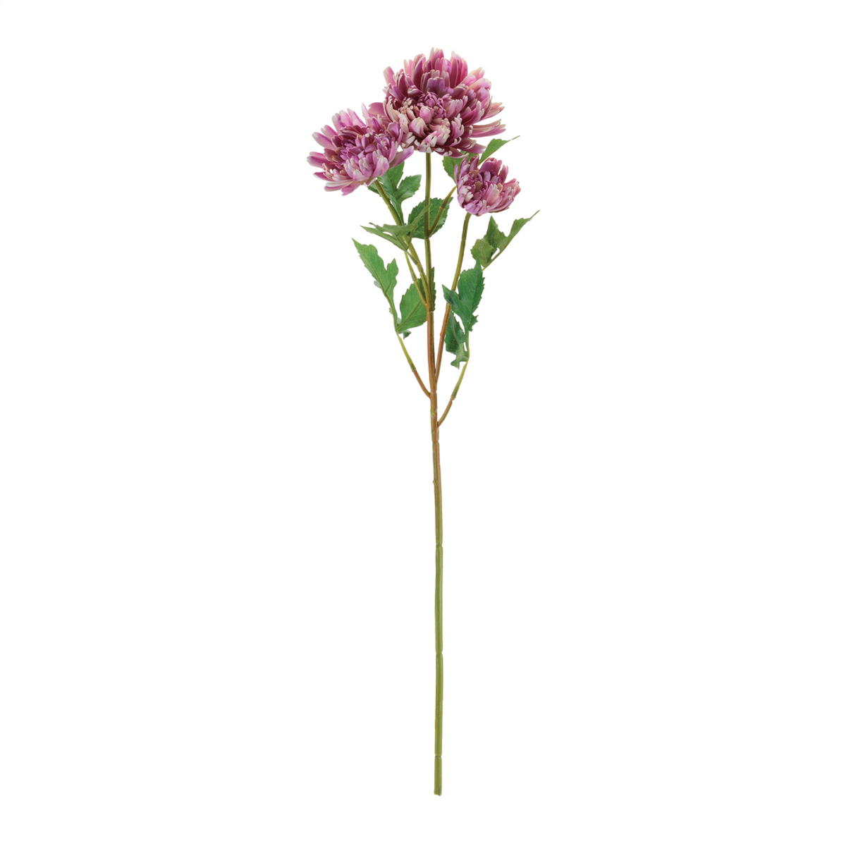 Mum Floral Spray (Set of 4)