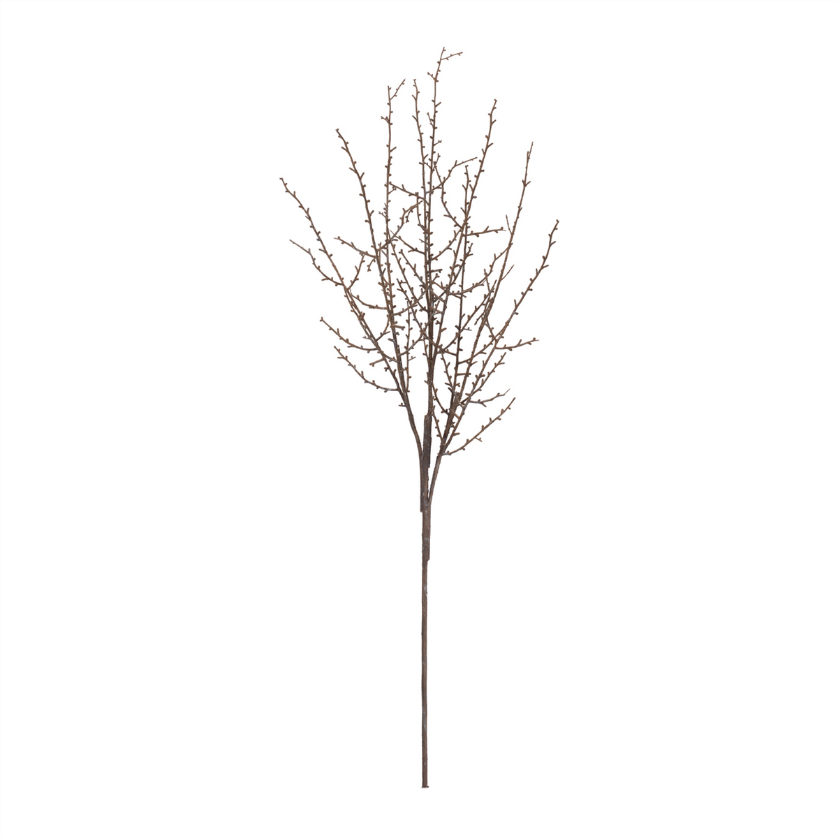 Birch Twig Branch (Set of 6) -Ship Only