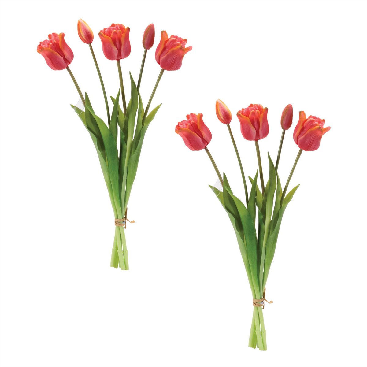 Tulip Bundle (Set of 2) 18.5”H Plastic -Ship Only