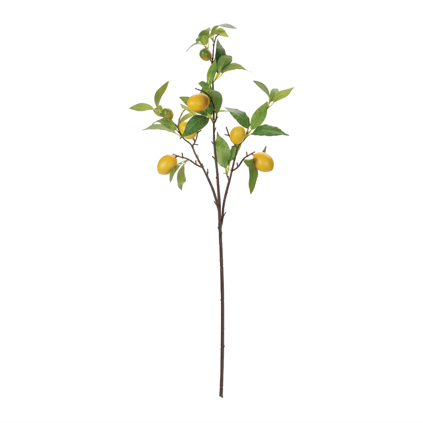 Lemon Fruit Foliage Branch (Set of 6)