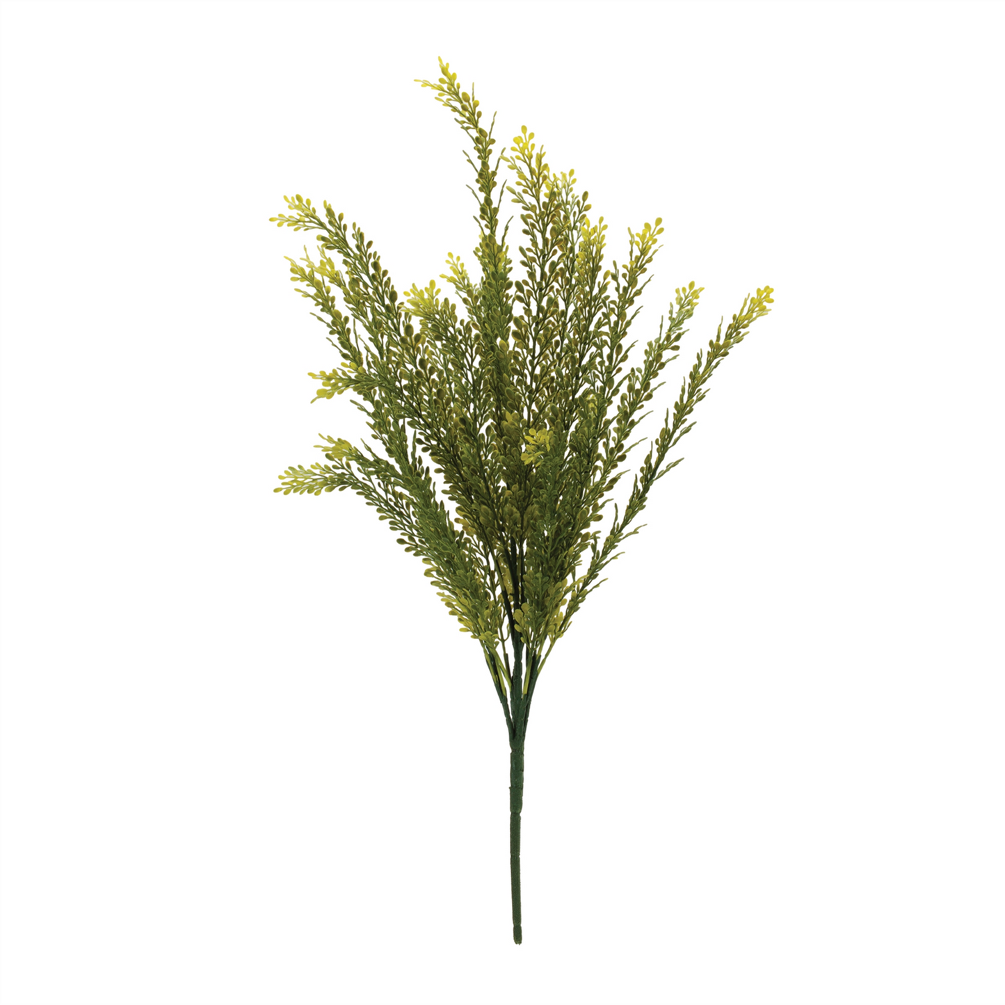 Baby Tears Bush (Set of 6) 23”H Plastic