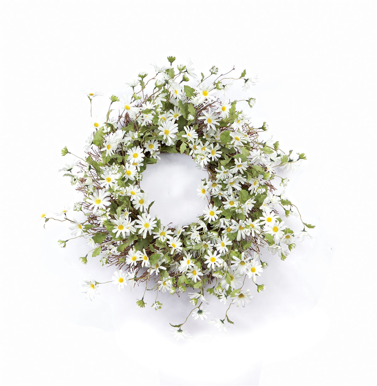 White Daisy Floral Wreath 23"D -Ship Only