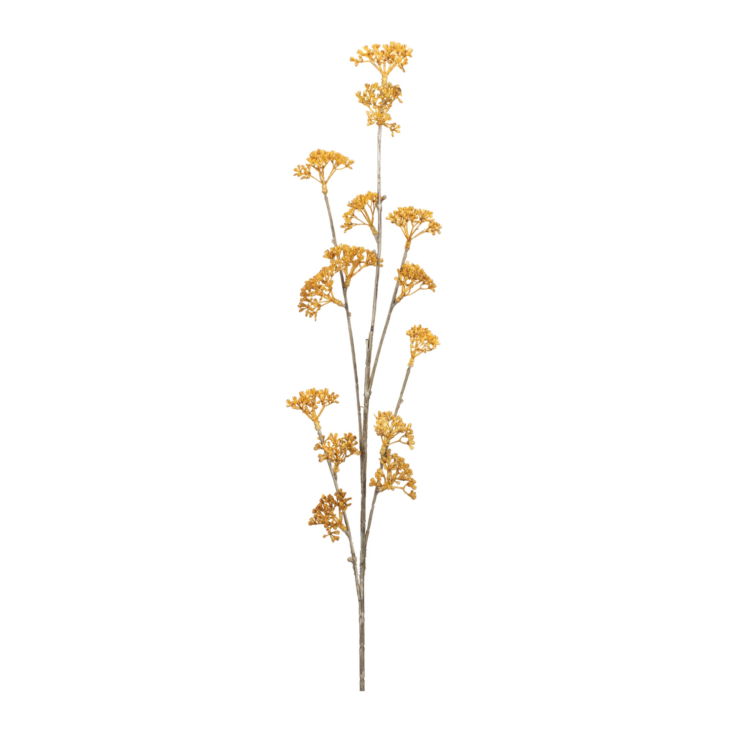 Golden Patrina Spray (Set of 12) -Ship Only