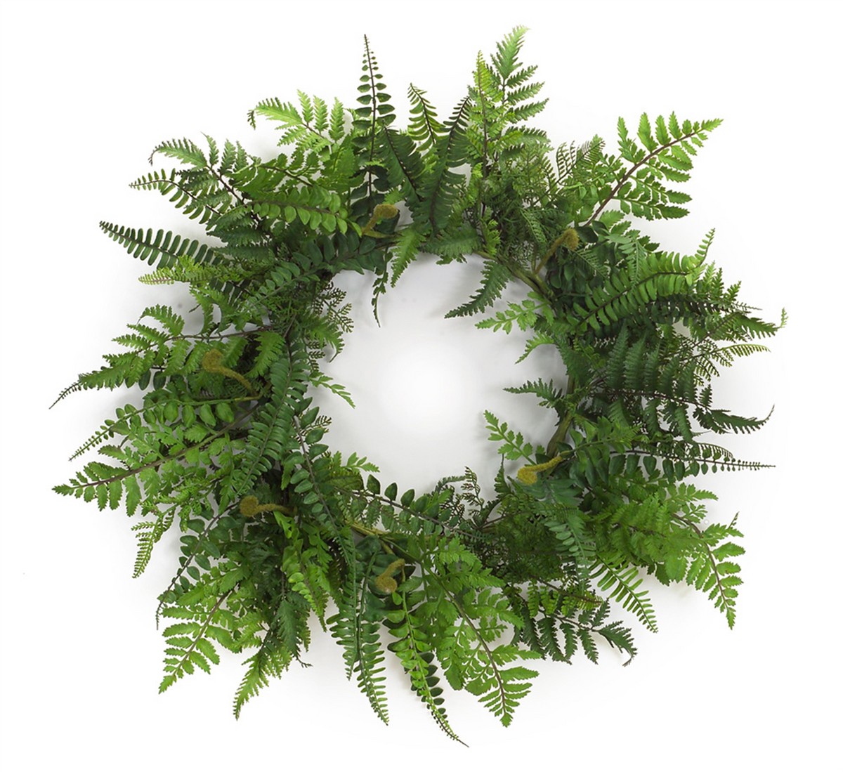 Mixed Fern Grapevine Wreath 24"D -Ship Only