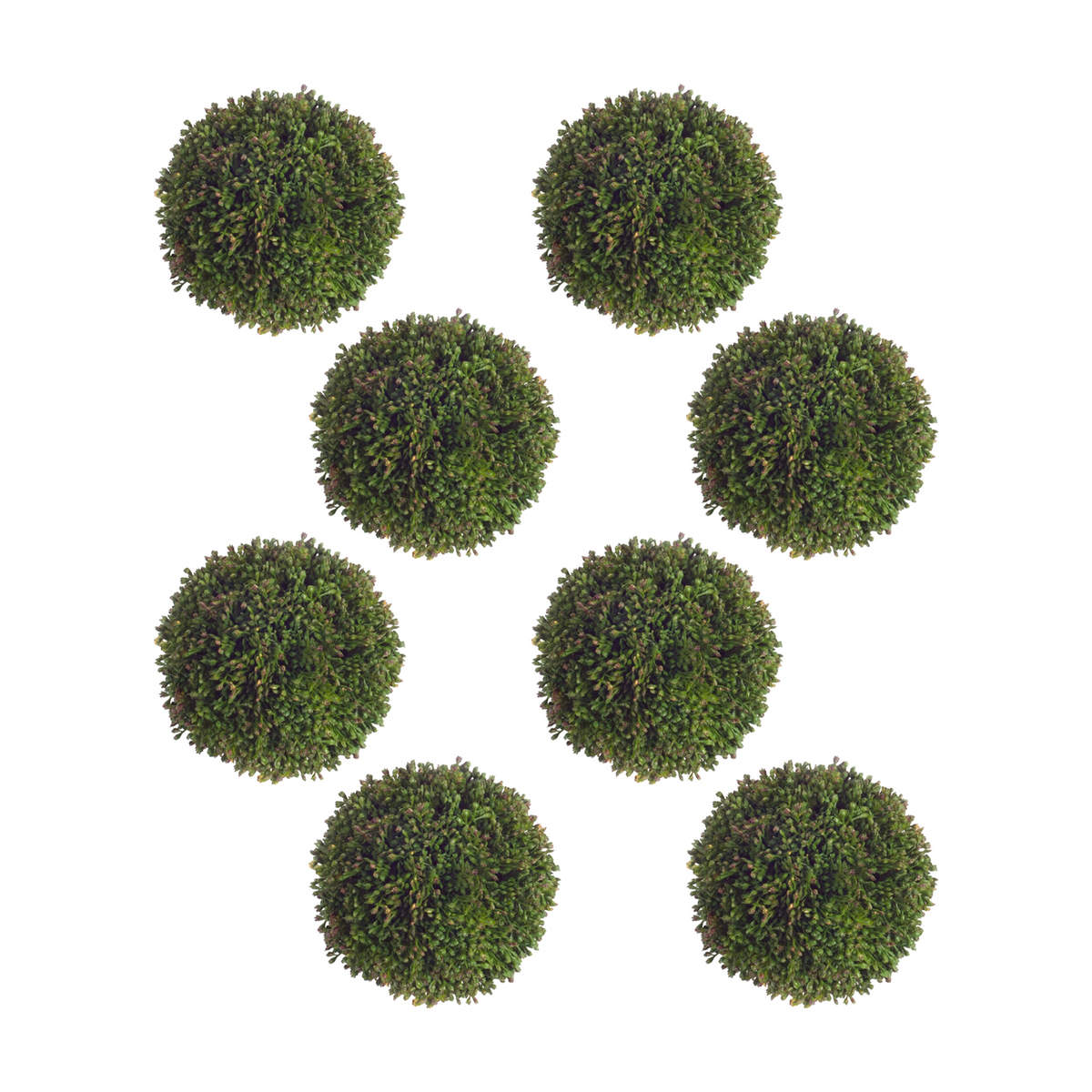 Boxwood Sedum Orb (Set of 8) -Ship Only