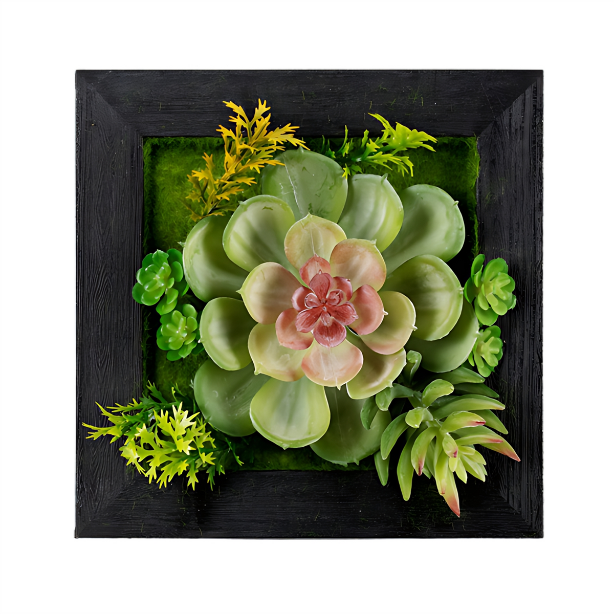 Hanging Succulent Box Wall Decor (Set of 6) -Ship Only
