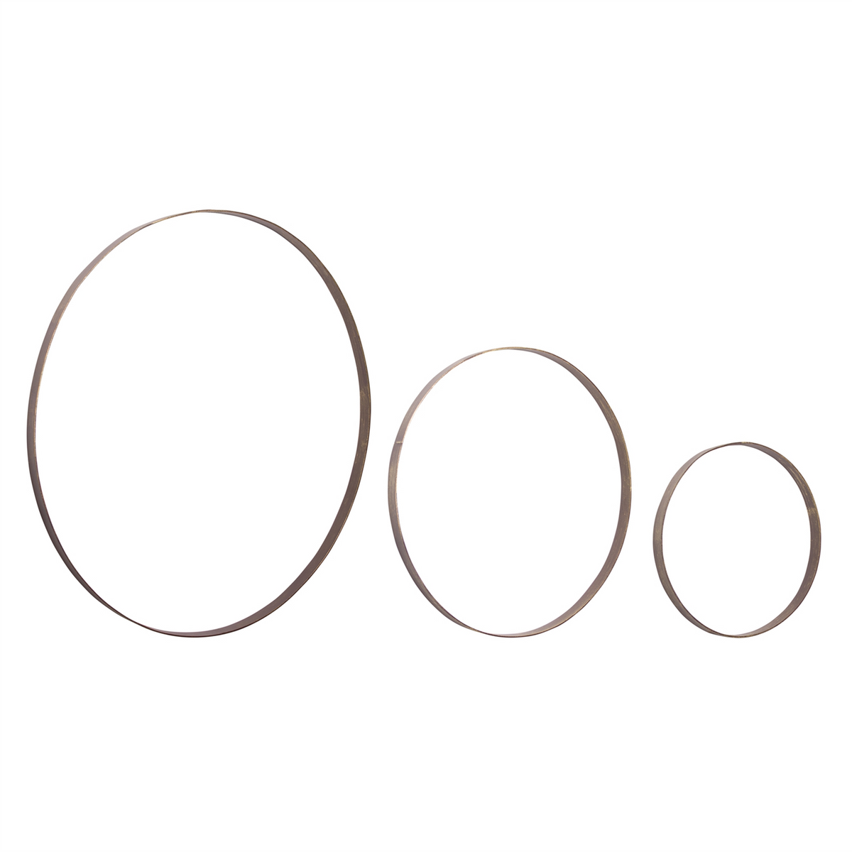 Iron Metal Rings Wall Display (Set of 3) -Ship Only