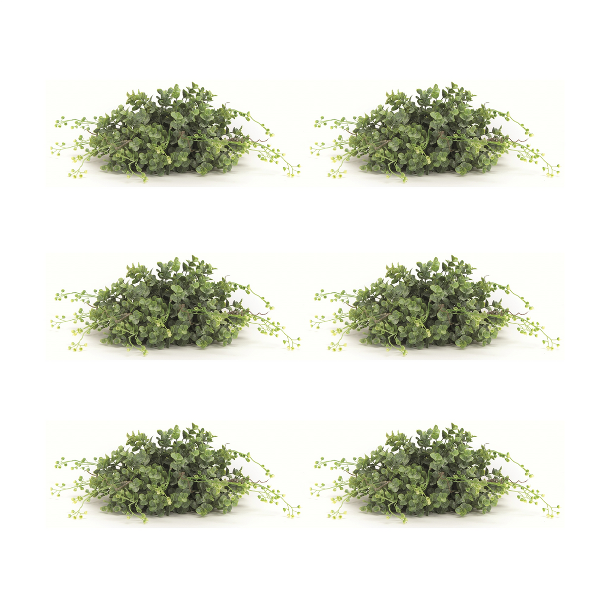 Spring Boxwood Foliage Half Orb (Set of 6) -Ship Only