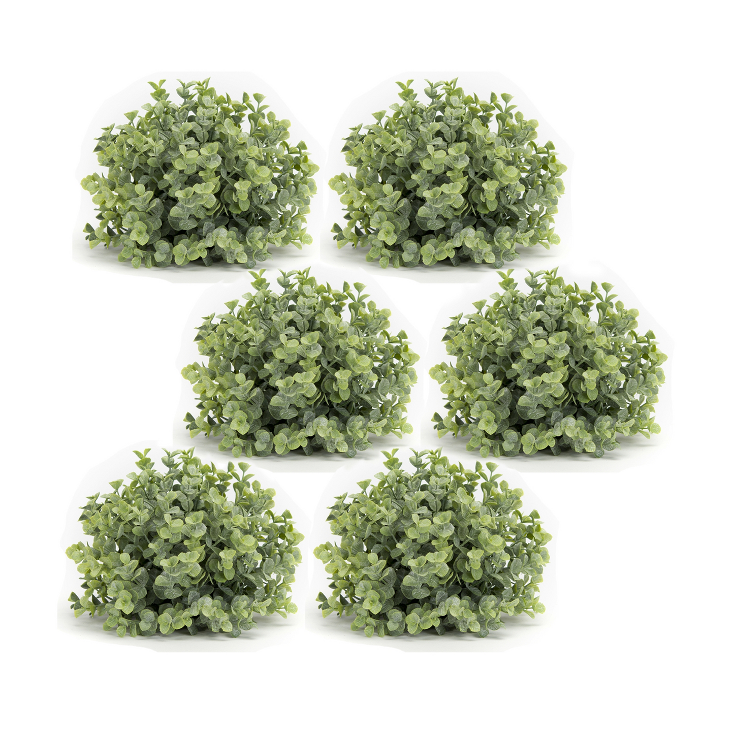 Spring Boxwood Foliage Half Orb (Set of 6) -Ship Only