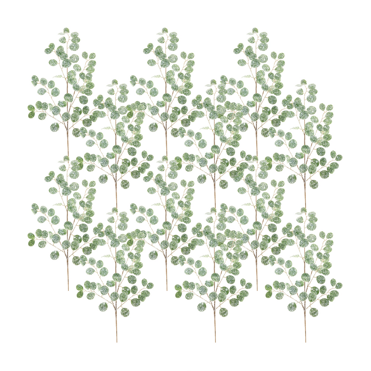 Frosted Silver Dollar Eucalyptus Spray (Set of 12) -Ship Only