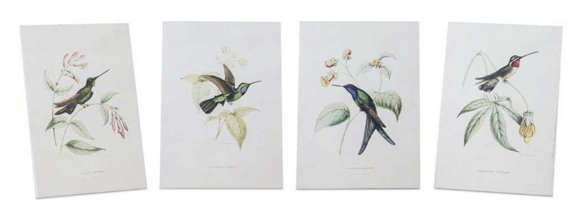 Tabletop Encyclopedia Hummingbird Print (Set of 4) -Ship Only
