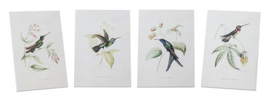 Tabletop Encyclopedia Hummingbird Print (Set of 4) -Ship Only