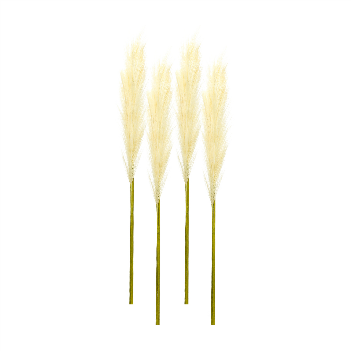 Cream Pampas Gass Stem (Set of 4) -Ship Only