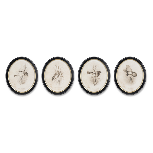 Framed Bird Print (Set of 4) -Ship Only