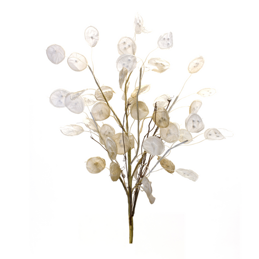 Silver Dollar Spray (Set of 6) 31.5”H Paper -Ship Only