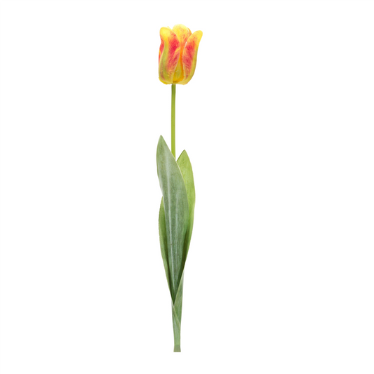 Tulip Floral Stem (Set of 6) -Ship Only