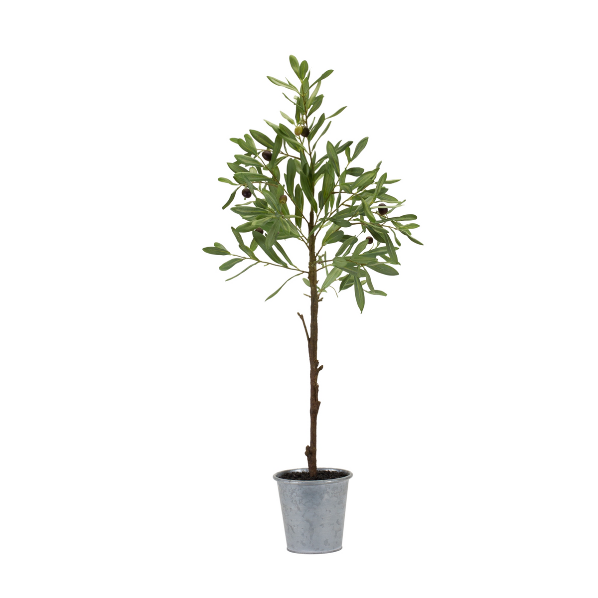 Potted Olive Tree 31.5”H Polyester -Ship Only
