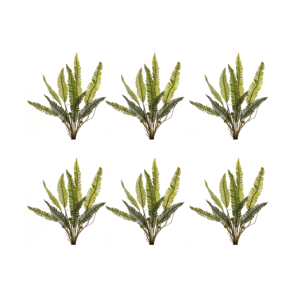 Varigated Fern Foliage Bush (Set of 6) -Ship Only