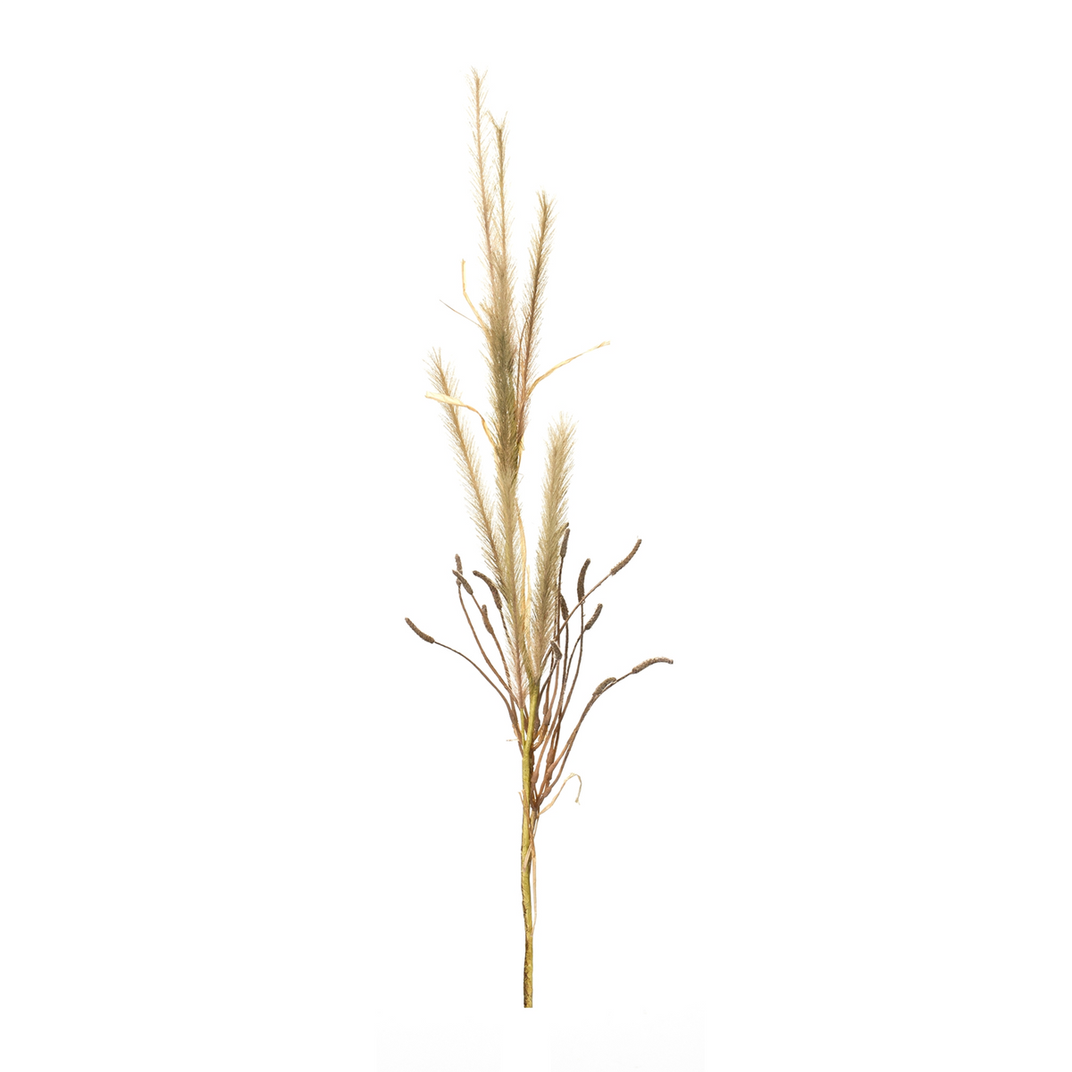 Foxtail Grass Spray (Set of 2) -Ship Only