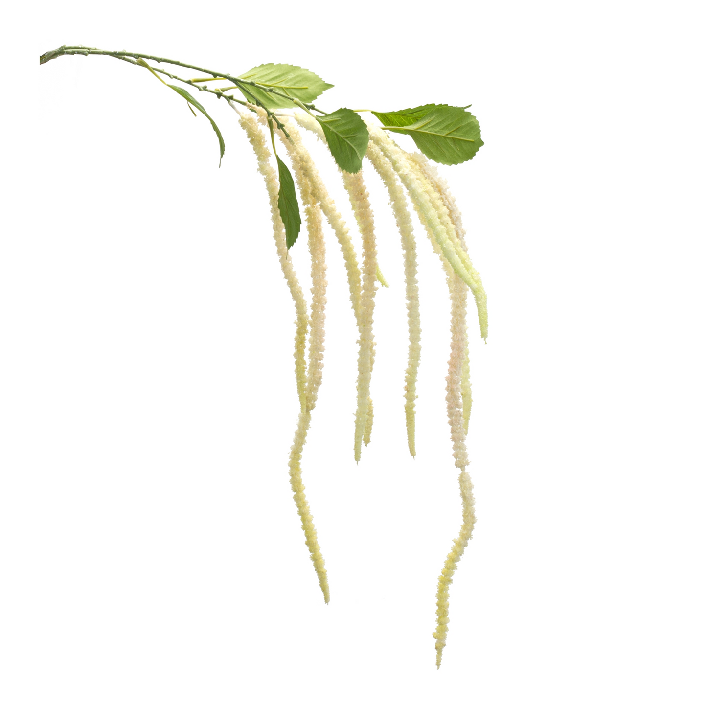 Amaranthus Floral Stem (Set of 4) -Ship Only