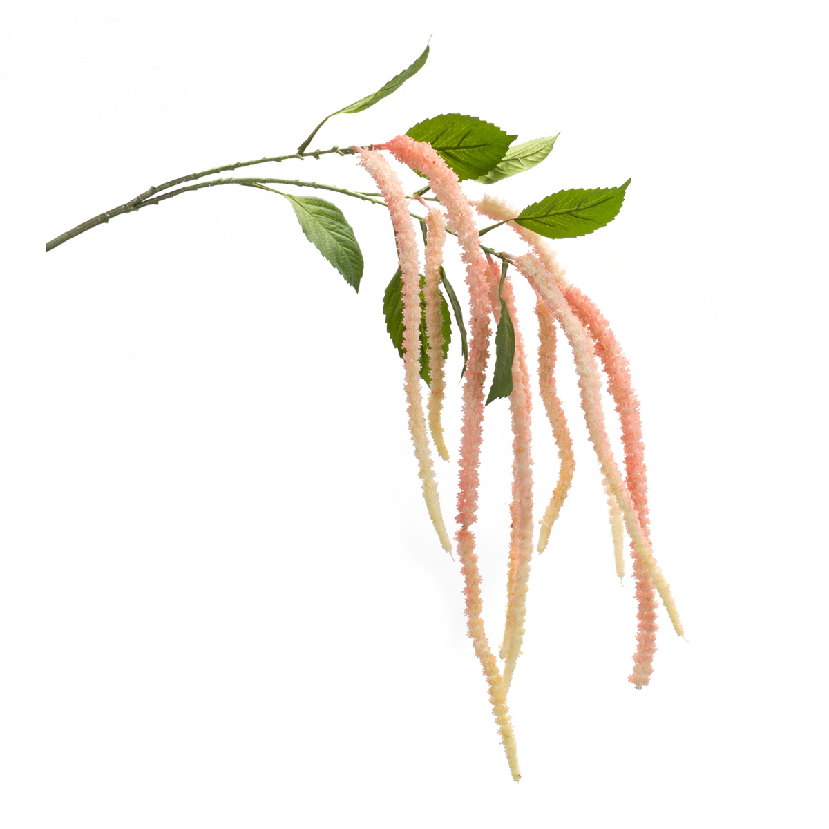 Amaranthus Floral Stem (Set of 4) -Ship Only