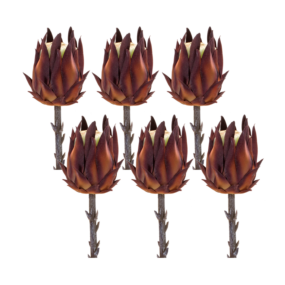 Burgandy Protea Stem (Set of 6) -Ship Only