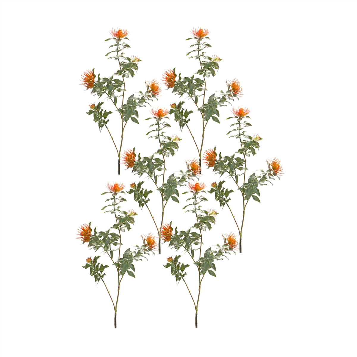 Orange Flocked Protea Spray (Set of 6) -Ship Only