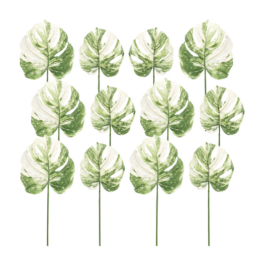 Light Varigated Philo Leaf Stem (Set of 12) -Ship Only