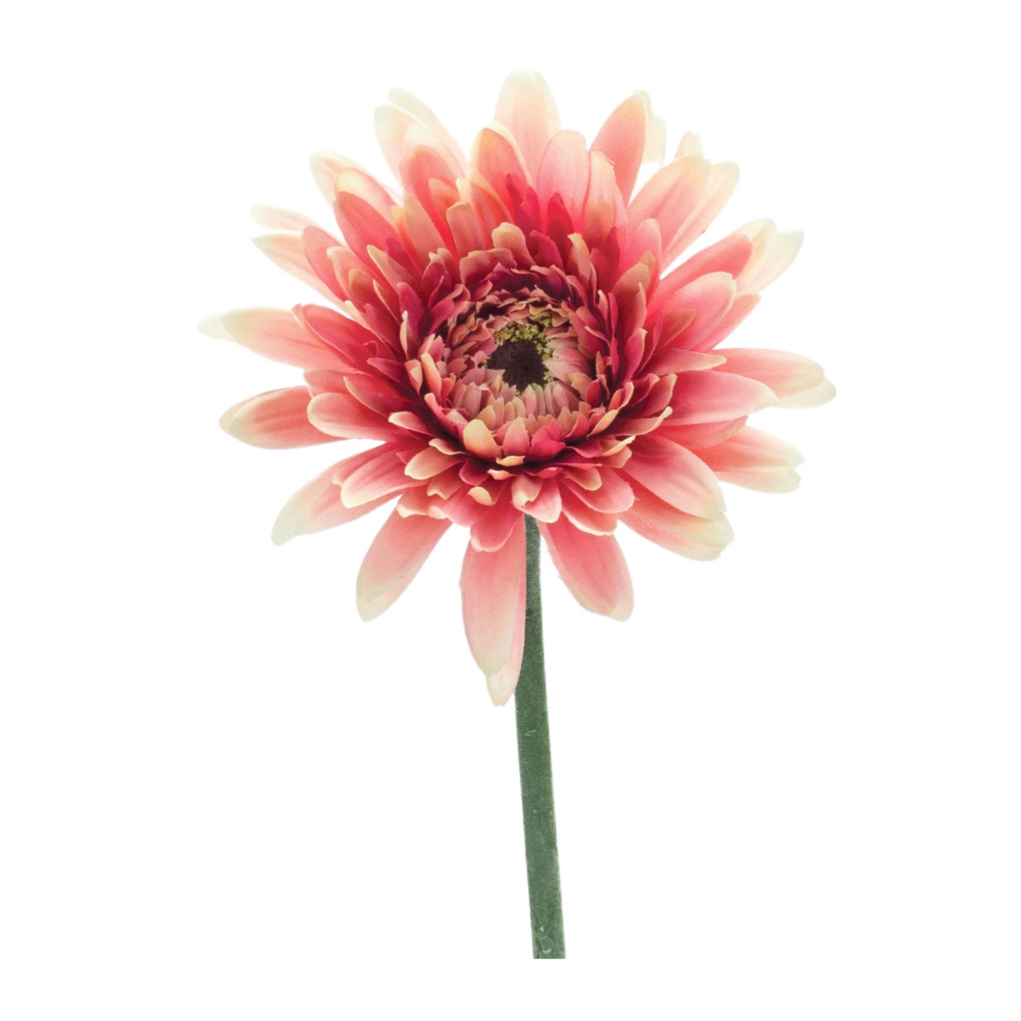 Gerbera Daisy Floral Stem (Set of 6) -Ship Only