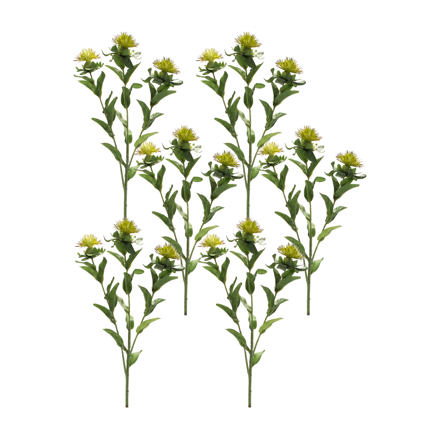 Green Thistle Floral Spray (Set of 6) -Ship Only
