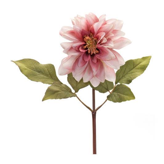 Blush Pink Dahlia Flower Stem (Set of 6) -Ship Only