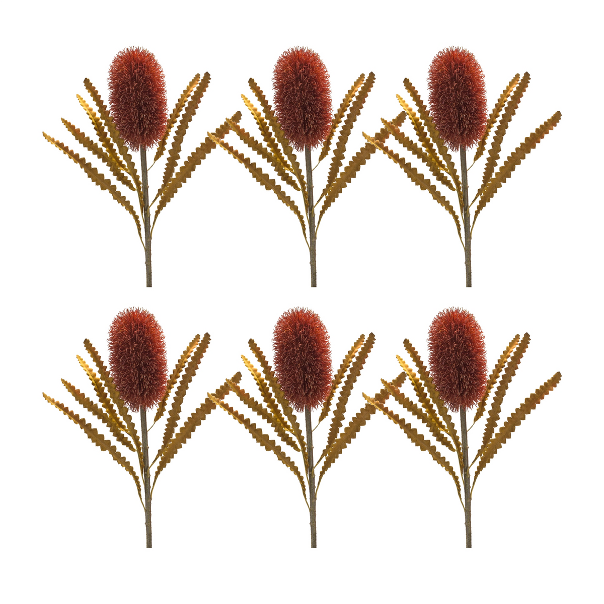 Burnt Orange Banksia Floral Stem (Set of 6) -Ship Only