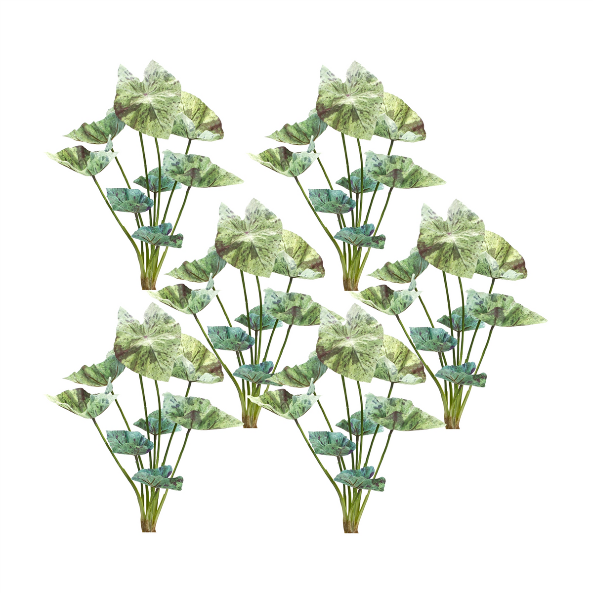 Caladium Bush (Set of 6) 18.5”H Polyester -Ship Only
