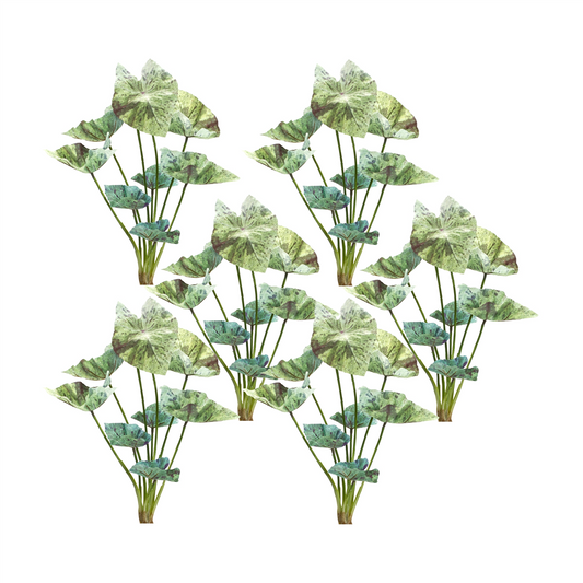 Caladium Bush (Set of 6) 18.5”H Polyester -Ship Only