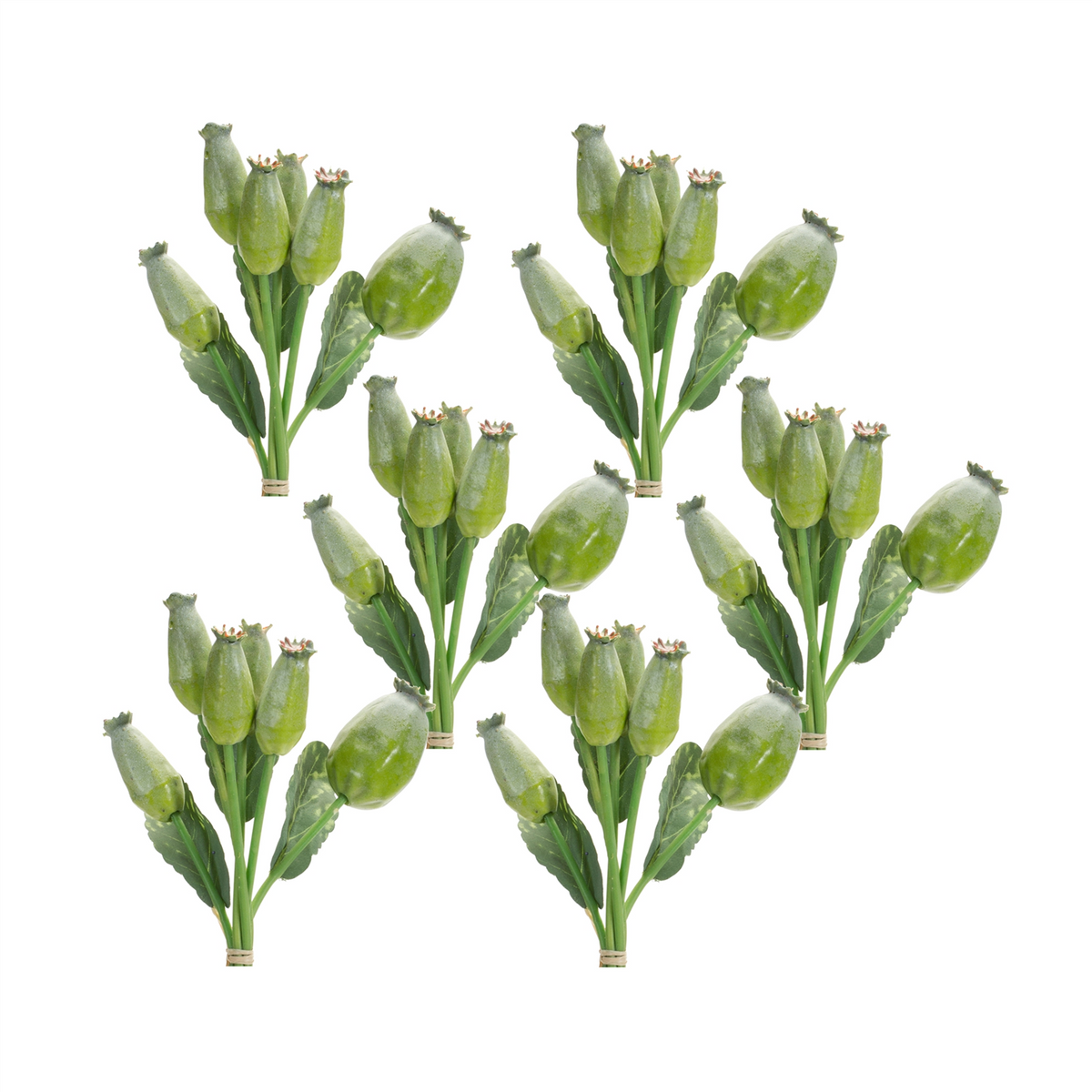 Green Poppy Pod Foliage Bundle (Set of 6) -Ship Only