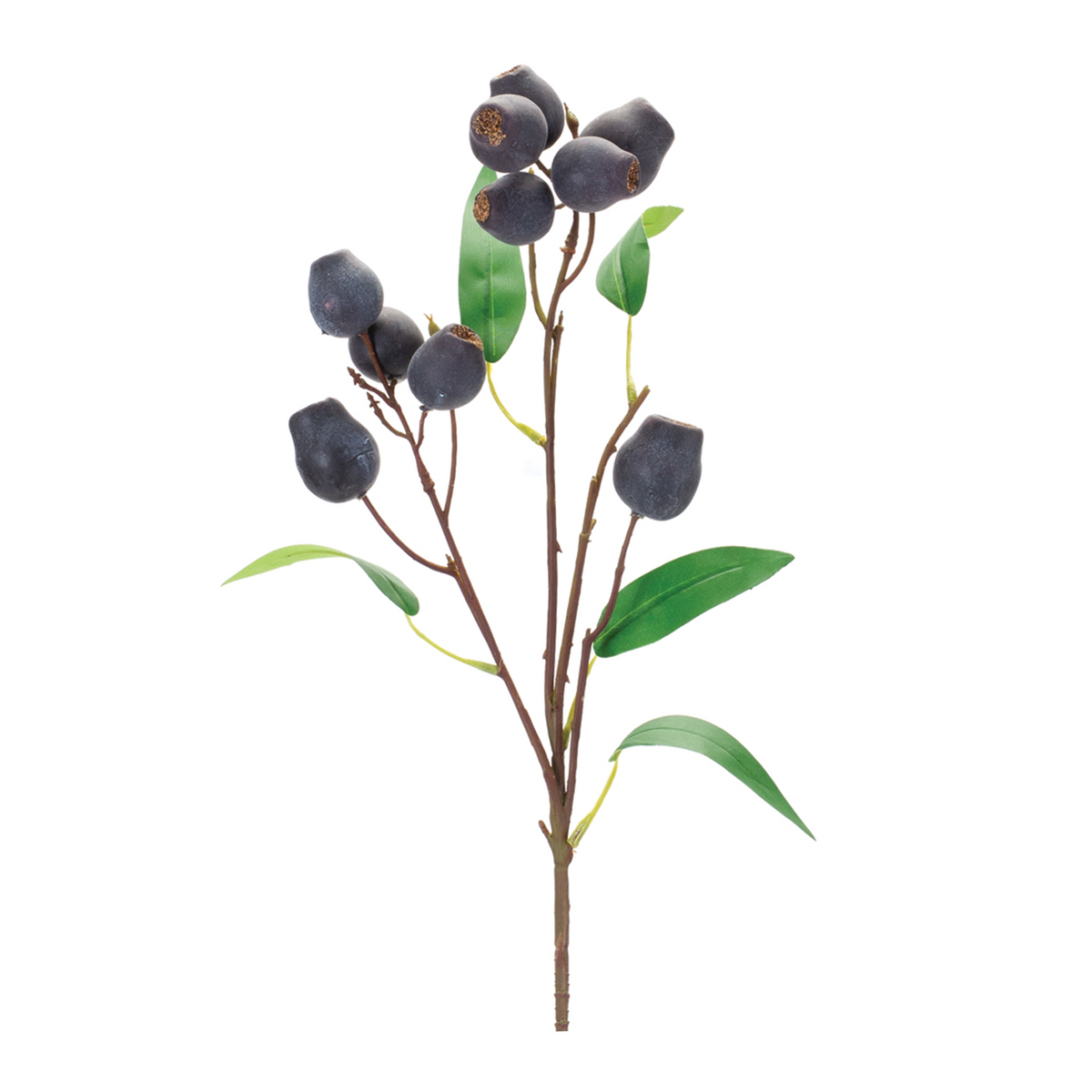 Plum Pod Spray (Set of 6) -Ship Only