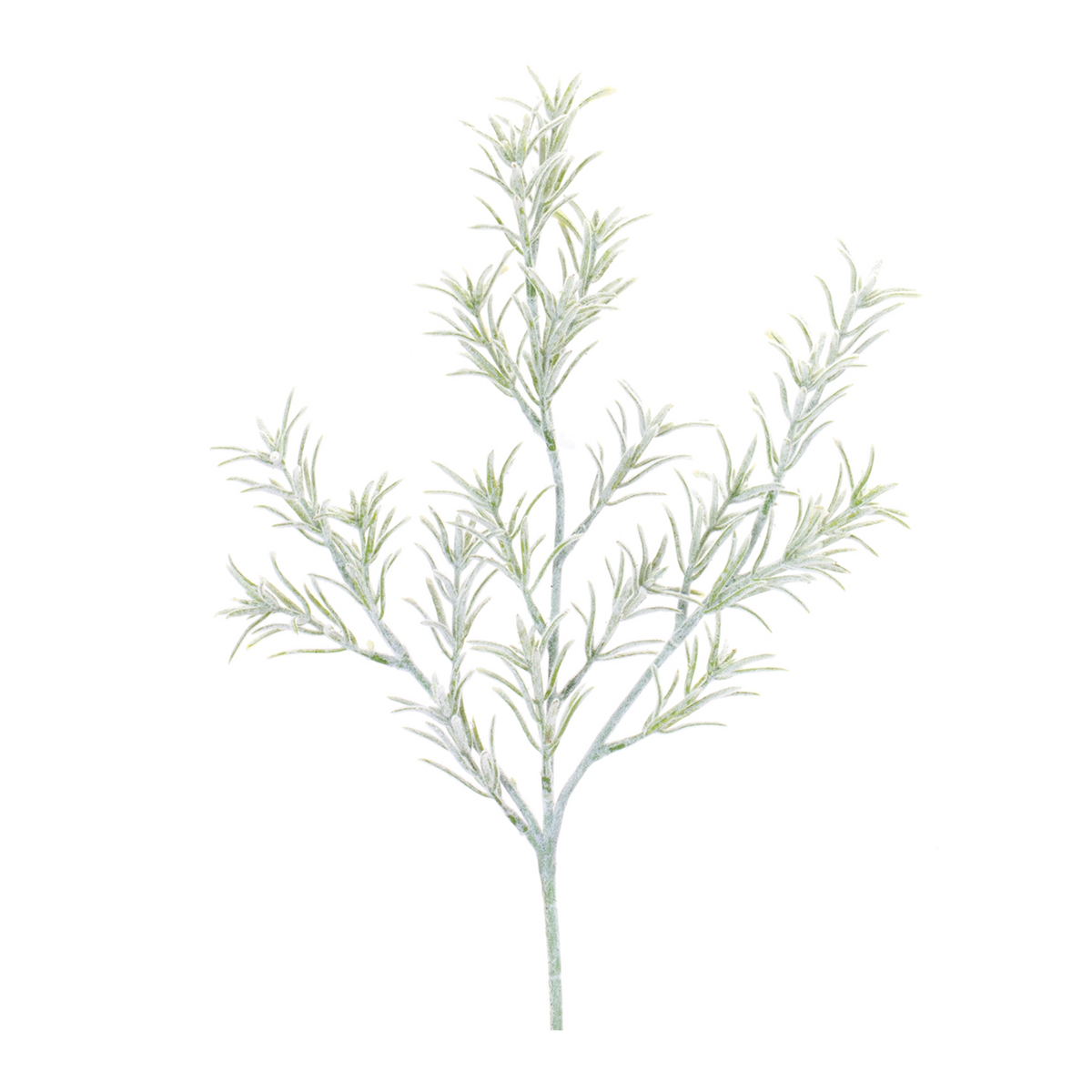 Rosemary Foliage Spray (Set of 6) -Ship Only