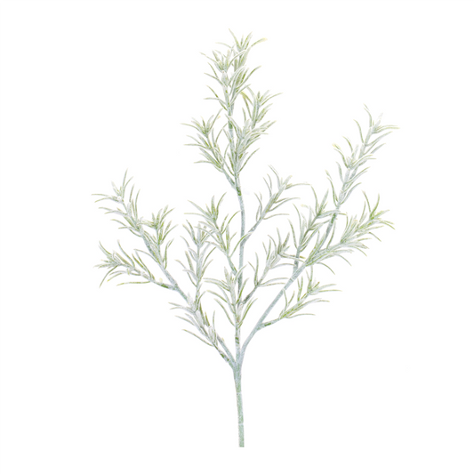 Rosemary Foliage Spray (Set of 6) -Ship Only
