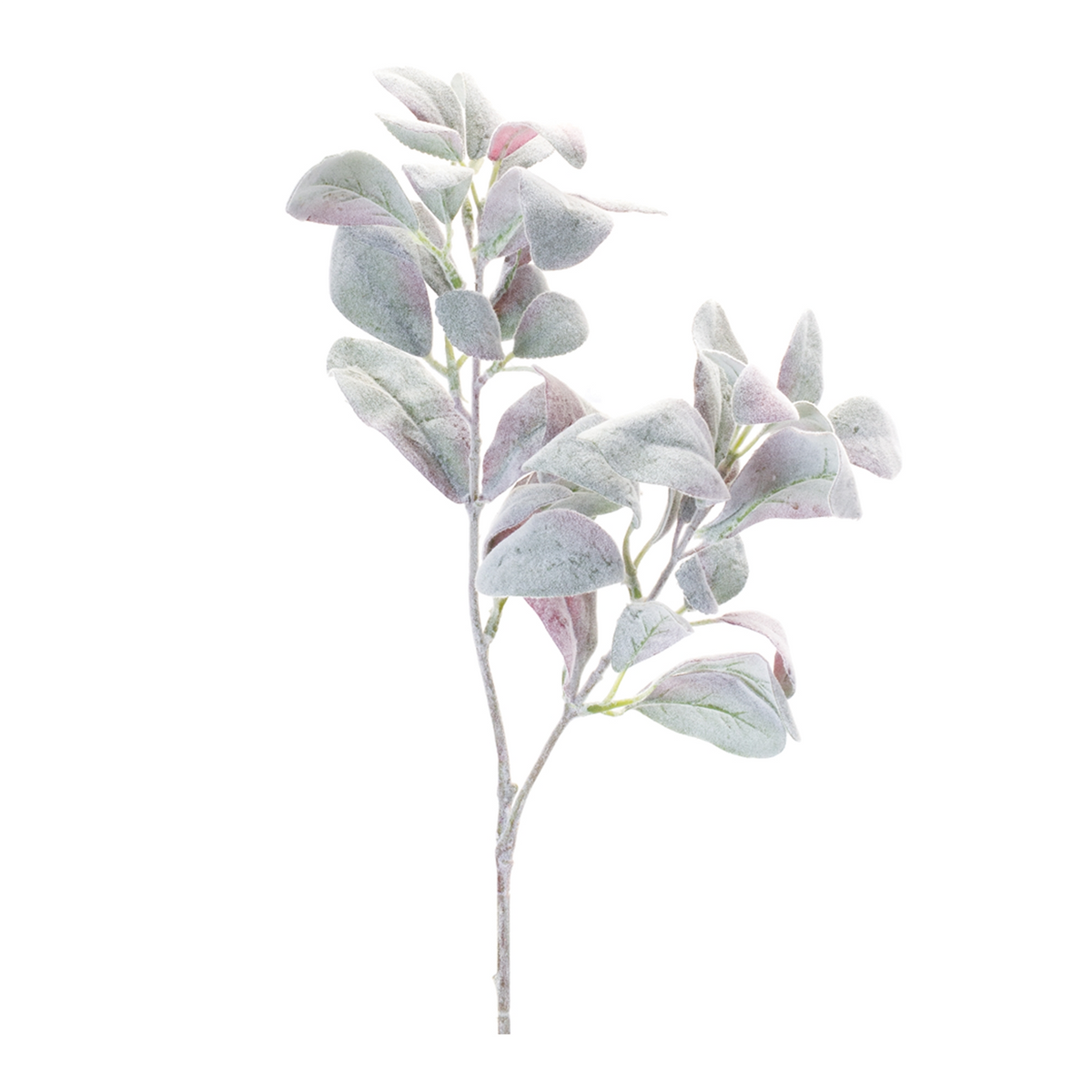 Lamb's Ear Leaf Bush (Set of 6) -Ship Only